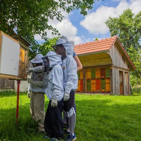 Ribnica Beekeeping Kojek 아파트 외부 사진