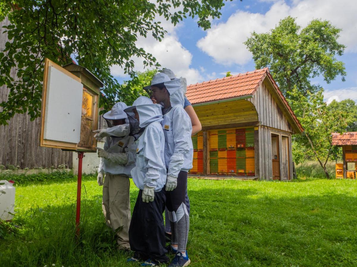 Ribnica Beekeeping Kojek 아파트 외부 사진