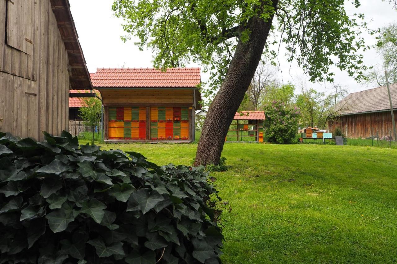 Ribnica Beekeeping Kojek 아파트 외부 사진